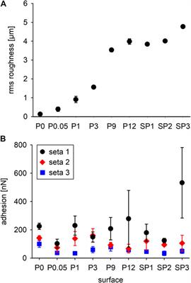 Adhesion of Individual Attachment Setae of the Spider Cupiennius salei to Substrates With Different Roughness and Surface Energy